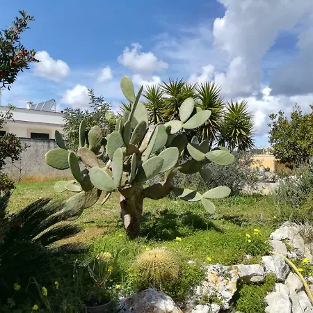 Casa Vacanze Vignalacorte