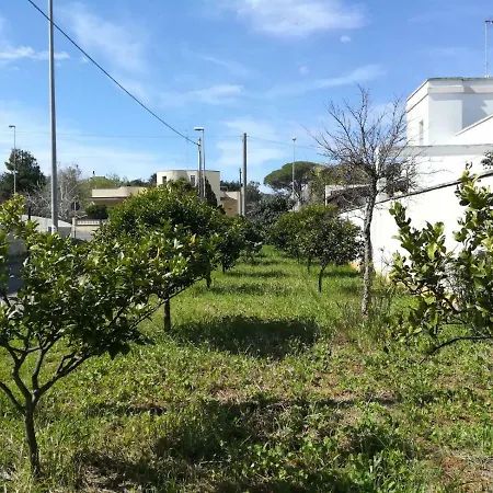 펜션 Casa Vacanze Vignalacorte 루파노