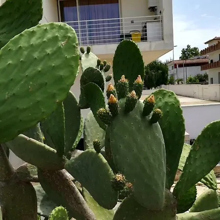 Casa Vacanze Vignalacorte 루파노